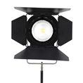 Bi-Color LED Spot Lamp CLL-3000TDX ??with free Octabox & Honeycomb