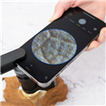 Carson Handmicroscope MM-300 MicroBrite Plus 60-120x with Smartphone Adapter