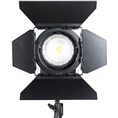 Falcon Eyes 5600K LED Spot Lamp Dimmable CLL-3000R on 230V