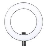 f Falcon Eyes Bi-Color LED Ring Lamp Dimmable DVR-384DVC on 230V