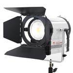 f Falcon Eyes Bi-Color LED Spot Lamp Dimmable CLL-4800TDX on 230V