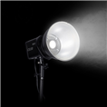 Sirui Daylight LED Monolight CS100