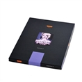 Tecco Inkjet Paper Premium Silk Raster PSR290 10x15 cm 100 Sheets