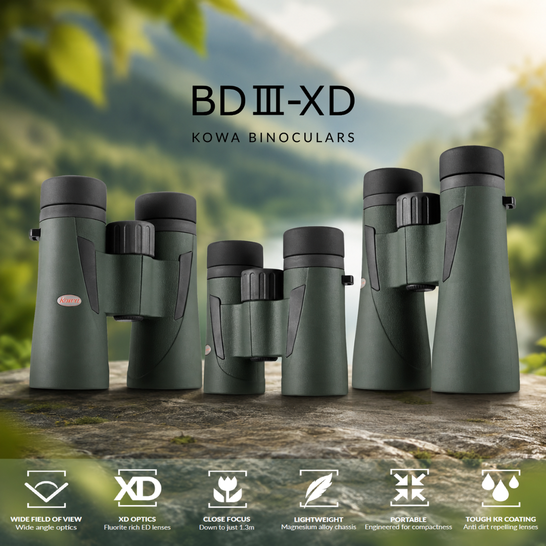 Kowa BDIII blog 1