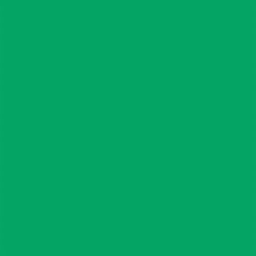 Falcon Eyes Background Paper 46 Chroma Green 2.18 x11 m