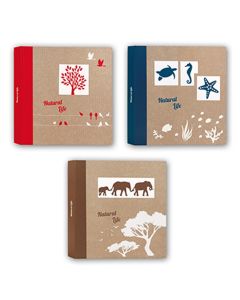 Zep NF293150 Pergamin Album 50 sheets 29x31 cm 6 Pcs