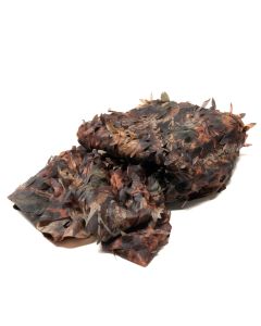 Buteo Photo Gear Camouflage Net 1 Coloured Leaf 2,4x3 m